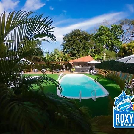 Roxy'S Bed & Breakfast Boca Chica Εξωτερικό φωτογραφία