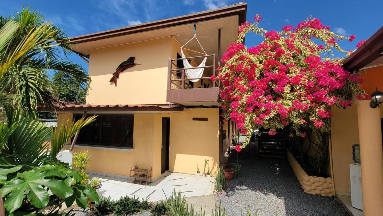 Roxy'S Bed & Breakfast Boca Chica Εξωτερικό φωτογραφία