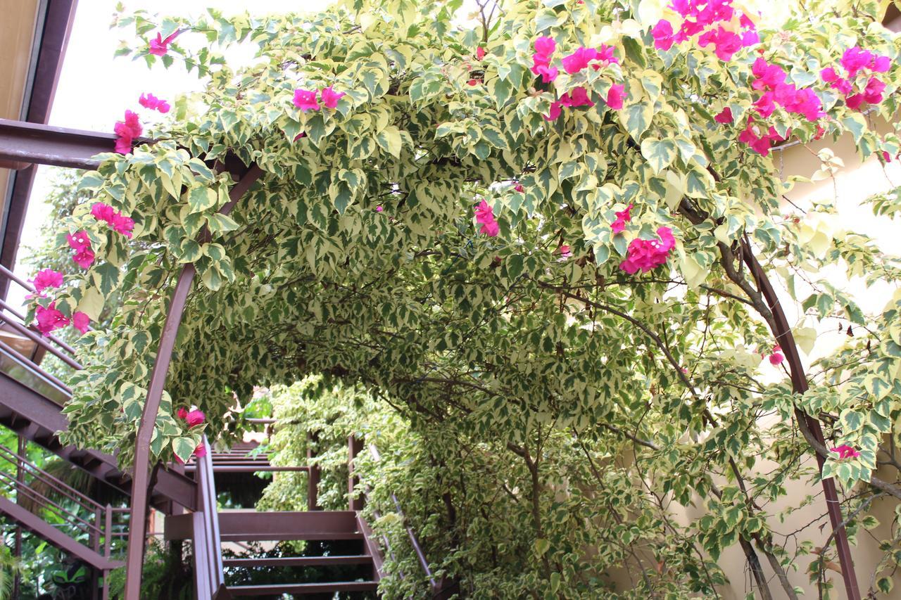 Roxy'S Bed & Breakfast Boca Chica Εξωτερικό φωτογραφία